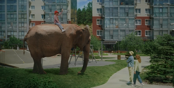 ГК СМЕЛО «НАШ СЛОН»